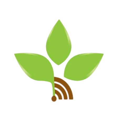 New Life Radio